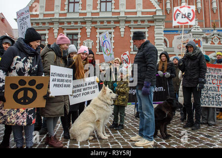 Riga, Lettonia. 24 Nov 2018. Marzo per animali in Riga, Lettonia. Il più grande animale advocacy evento nella storia della Lettonia. Credito: Gints Ivuskans/Alamy Live News Foto Stock