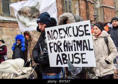 Riga, Lettonia. 24 Nov 2018. Marzo per animali in Riga, Lettonia. Il più grande animale advocacy evento nella storia della Lettonia. Credito: Gints Ivuskans/Alamy Live News Foto Stock