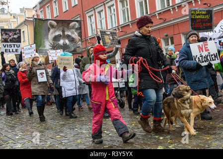 Riga, Lettonia. 24 Nov 2018. Donna con bambino e due cani, partecipando a 'Marco per animali' nella Riga, Lettonia. Il più grande animale advocacy evento nella storia della Lettonia. Credito: Gints Ivuskans/Alamy Live News Foto Stock