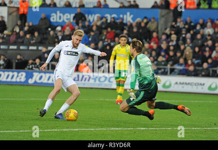 Swansea, Regno Unito. Il 24 novembre 2018. Oli McBurnie di Swansea City va vicino a rigature. EFL Skybet partita in campionato, Swansea City v Norwich City al Liberty Stadium di Swansea, Galles del Sud sabato 24 novembre 2018. Questa immagine può essere utilizzata solo per scopi editoriali. Solo uso editoriale, è richiesta una licenza per uso commerciale. Nessun uso in scommesse, giochi o un singolo giocatore/club/league pubblicazioni. pic da Phil Rees/Andrew Orchard fotografia sportiva/Alamy Live news Foto Stock