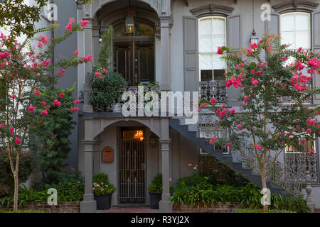 Stati Uniti d'America, Georgia, Savannah. Red bud Alberi di fronte a casa nel quartiere storico. Foto Stock