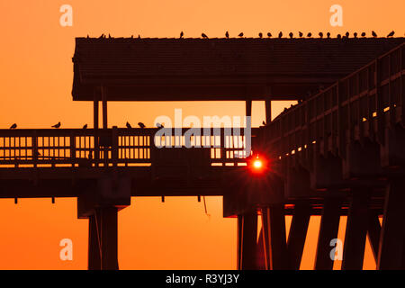 Stati Uniti d'America, Georgia, Tybee Island. Sunrise a Tybee Pier. Foto Stock