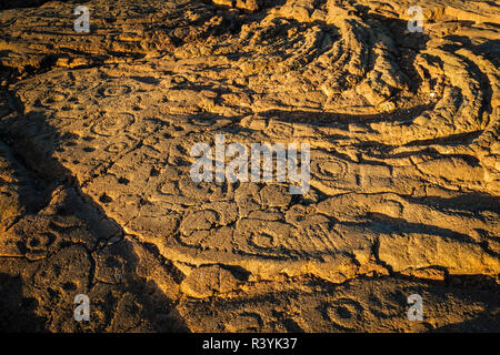 Petroglifi Hawaiiano sul sentiero Mamalahoa (Kings Trail), Waikoloa, Kohala Coast, la Big Island, Hawaii, STATI UNITI D'AMERICA Foto Stock