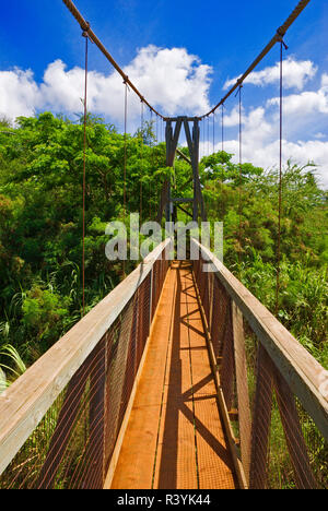 Il Hanapepe ponte oscillante, Hanapepe, Isola di Kauai, Hawaii, STATI UNITI D'AMERICA Foto Stock