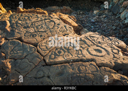 Petroglifi Hawaiiano sul Kings Trail a Waikoloa, Kohala Coast, Big Island, Hawaii, STATI UNITI D'AMERICA Foto Stock