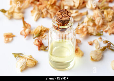 Una bottiglia di olio essenziale con secchi fiori di gelsomino su sfondo bianco Foto Stock