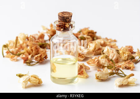 Una bottiglia di olio essenziale con secchi fiori di gelsomino su sfondo bianco Foto Stock