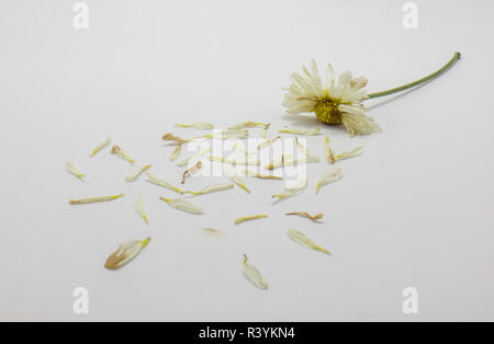 Foto Stock