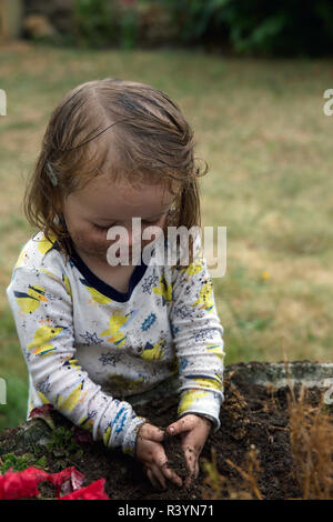 Il Toddler giocando nella sporcizia in giardino Foto Stock