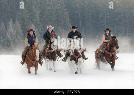 Cowgirls a cavallo al galoppo verso la telecamera nella neve, Kalispell, Montana Foto Stock