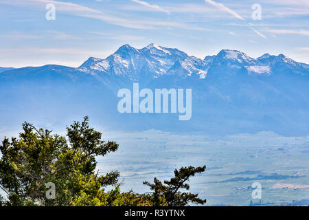 Stati Uniti d'America, Montana. Nazionale gamma Bison Foto Stock