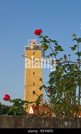 Red Rose in un giardino, sullo sfondo il vecchio faro storico Brandaris sull'isola olandese di Terschelling nel mare di Wadden Foto Stock