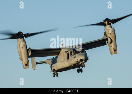 Stati Uniti d'America, Oregon, Hillsboro, Bell-Boeing MV-22 del USMC durante la sua dimostrazione a Oregon Airshow internazionale. Foto Stock