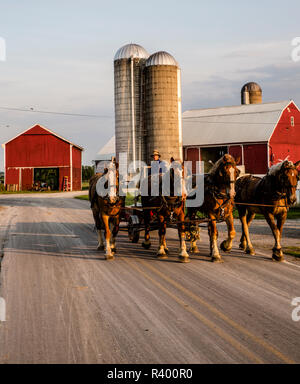 Lancaster County, Pennsylvania. Team di quarter horses, guidato da un agricoltore Amish lasciando il granaio rosso e silos Foto Stock