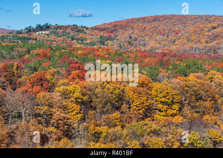 Stati Uniti d'America, Pennsylvania, Pocono Mountains, Port Jervis, vista in elevazione del fiume Delaware, autunno Foto Stock