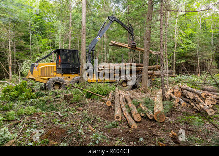 Lo spedizioniere di registro di spostamento dei registri piantagione di canna, Reed, Maine. Foto Stock