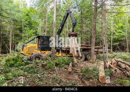 Lo spedizioniere di registro di spostamento dei registri piantagione di canna, Reed, Maine. Foto Stock