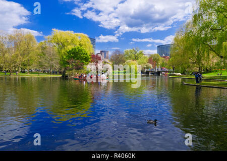 Swan barca sulla laguna al giardino pubblico, Boston, Massachusetts, STATI UNITI D'AMERICA Foto Stock