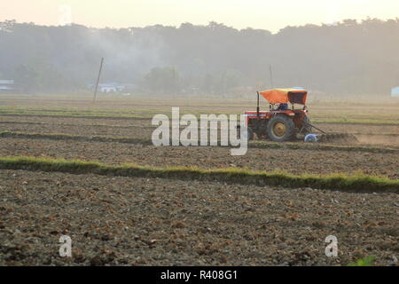 Il trattore arare un campo di riso, Nepal Foto Stock