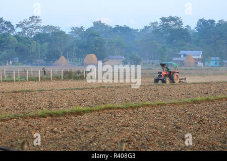 Il trattore arare un campo di riso, Nepal Foto Stock