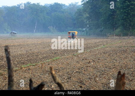Il trattore arare un campo di riso, Nepal Foto Stock