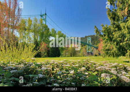 Stati Uniti d'America, Oregon, Portland. Paesaggio con St. Johns Bridge. Credito come: Steve Terrill Jaynes / Galleria / DanitaDelimont.com Foto Stock