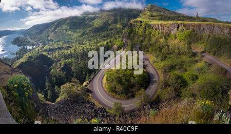 Stati Uniti d'America, Oregon. La ritorcitura, curvando storico fiume Columbia Highway (Hwy 30) al di sotto della Rowena altopiano a Tom McCall preservare, vicino Mosier. Foto Stock