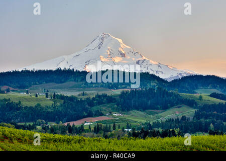 Stati Uniti d'America, Oregon, Columbia River Gorge, Mt. Paesaggio del cofano Foto Stock