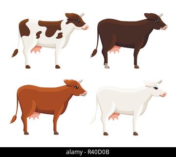 Raccolta di carino vacche. Fattoria animale domestico. In stile appartamento di design degli animali. Illustrazione di vettore isolato su sfondo bianco. Illustrazione Vettoriale