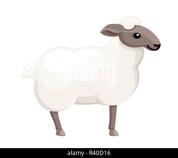 Pecore bianche. Fattoria animale domestico. In stile appartamento di design degli animali. Illustrazione di vettore isolato su sfondo bianco. Illustrazione Vettoriale