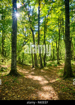 Delle stagioni in Michigan superiore Foto Stock