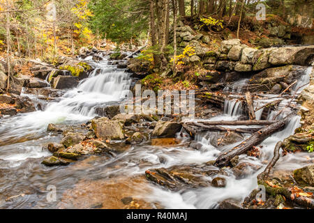 In Gatineau Park Quebec, due cascate, affiancati e correre lungo le rocce e sopra le foglie di autunno vicino al carburo rovine di Wilson. Foto Stock