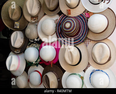 Originale di Panama cappelli per la vendita in un negozio di Quito Foto Stock