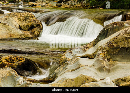 In cascata i lavelli area del piccolo fiume, Great Smoky Mountains National Park, Tennessee Foto Stock