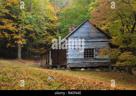 Stati Uniti d'America, Tennessee. Great Smoky Mountain National Park, storico Bud Ogle cabina in autunno. Foto Stock