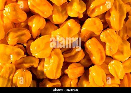 Giallo habaneros in un heap Foto Stock