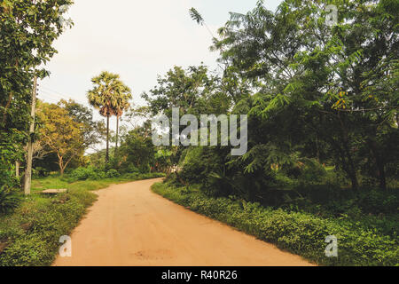 Small Alley attraverso la giungla in Sri Lanka. Foto Stock