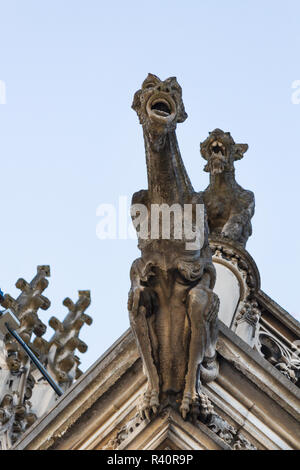 Due doccioni sembrano urlare nei tormenti alla sommità della torre d'ingresso della casa di Biltmore in Asheville, NC, Stati Uniti d'America Foto Stock