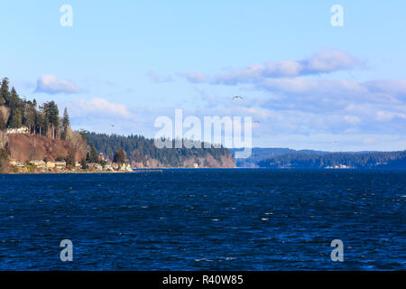 Bremerton, nello Stato di Washington. Cappucci bianchi, gabbiani e pastello nuvole sopra il Puget Sound e la penisola di Kitsap Foto Stock