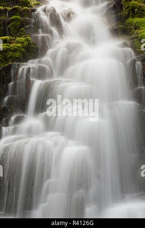 Ramo di bianco cade, Oregon Cascades, Oregon Foto Stock