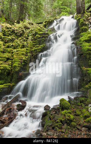 Ramo di bianco cade, Oregon Cascades, Oregon Foto Stock