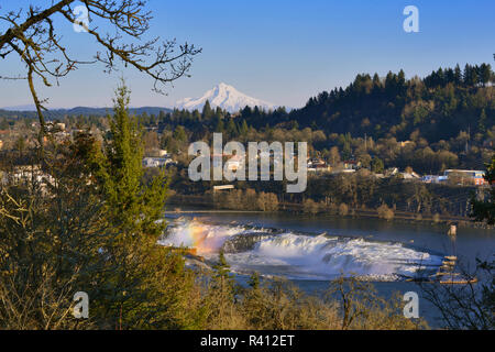 Stati Uniti d'America, Oregon, Portland. Mt. Cofano e Oregon City cade sul fiume Willamette. Credito come: Steve Terrill Jaynes / Galleria / DanitaDelimont.com Foto Stock