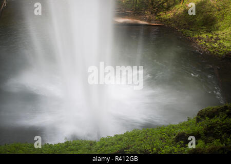 Stati Uniti d'America, Oregon, Silver Falls State Park. Sud cade SCENIC. Foto Stock