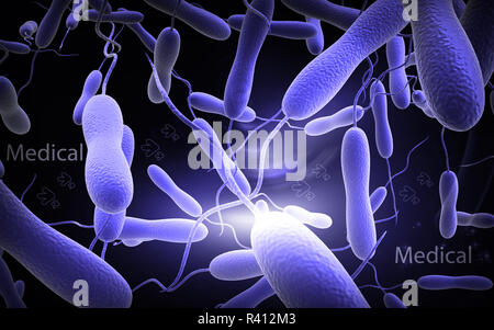 I batteri del colera Foto Stock