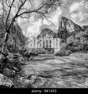 Stati Uniti d'America, Utah, Parco Nazionale di Zion. Fiume vergine e Cottonwoods in inverno Foto Stock