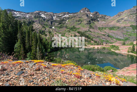 Twin Peaks Deserto e montagne Wasatch, Utah Foto Stock