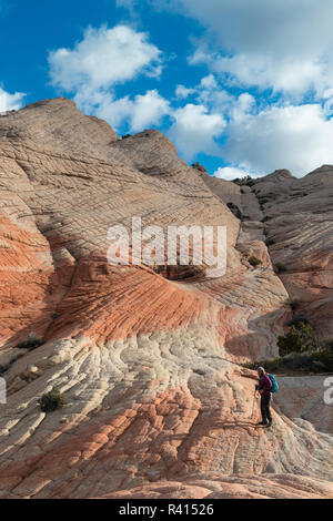 Escursionista nella roccia arenaria Candy scogliere area, nei pressi di San Giorgio, Utah (MR) Foto Stock