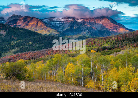 Mount Timpanogos e brillanti per caduta delle foglie, Montagne Wasatch, Utah Foto Stock