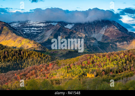 Mount Timpanogos e brillanti per caduta delle foglie, Montagne Wasatch, Utah Foto Stock