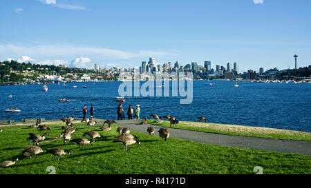 Stati Uniti d'America, nello Stato di Washington, Seattle. Il Lago Union e il centro cittadino di vista da lavori Gas Park Foto Stock